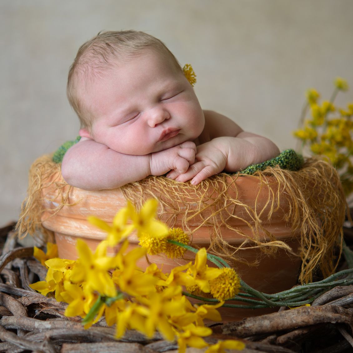 Our Focus Photography auf Gut Knoop bei Kiel Newborn