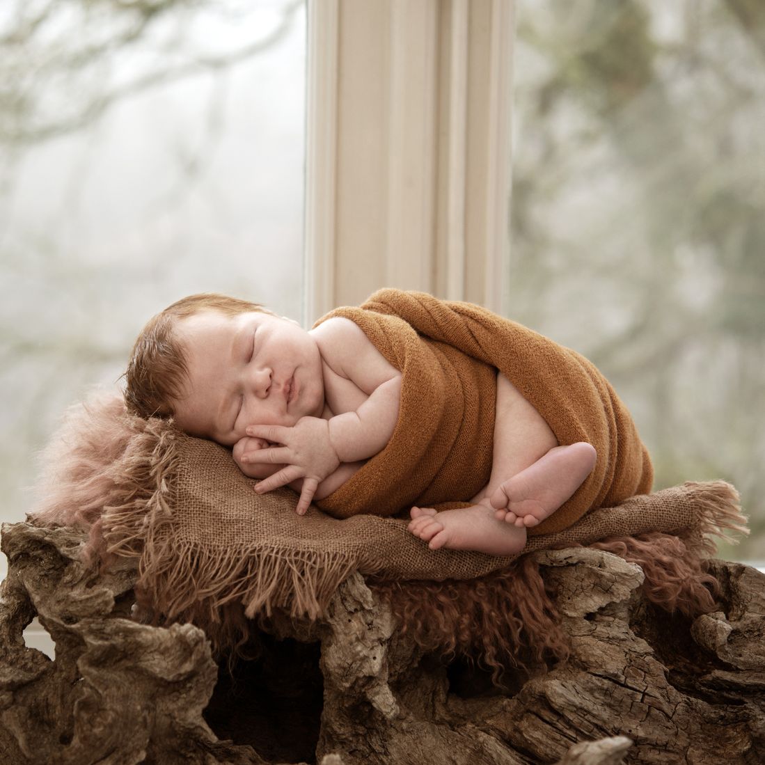 Our Focus Photography auf Gut Knoop bei Kiel Newborn