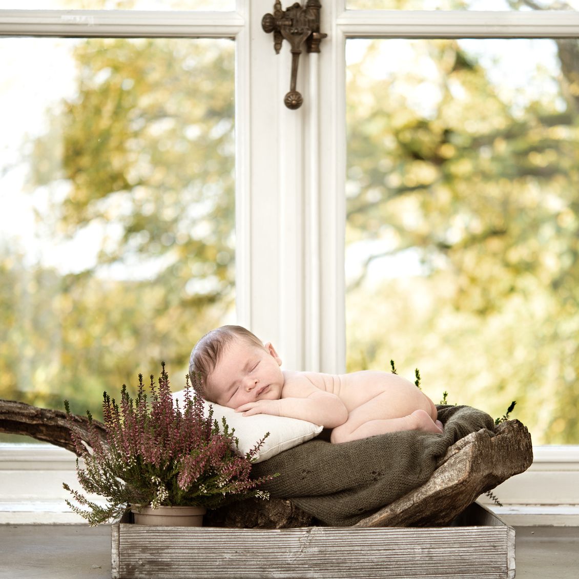 Our Focus Photography auf Gut Knoop bei Kiel Newborn