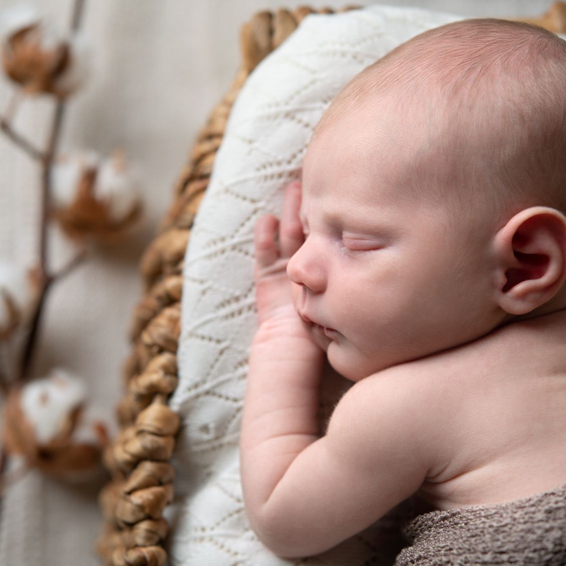 Our Focus Photography auf Gut Knoop bei Kiel Newborn